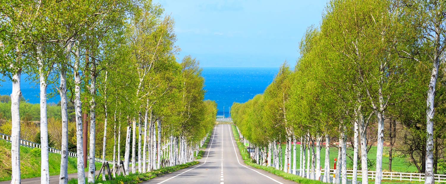 キービジュアルイメージ01